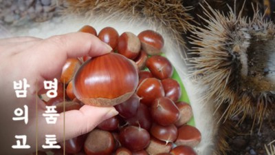 놓치면 후회! 시골청년 🌱 리얼 후기 & 꿀팁 대방출!