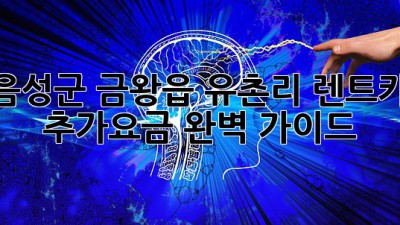 음성군 금왕읍 유촌리 렌트카 추가요금 완벽 가이드